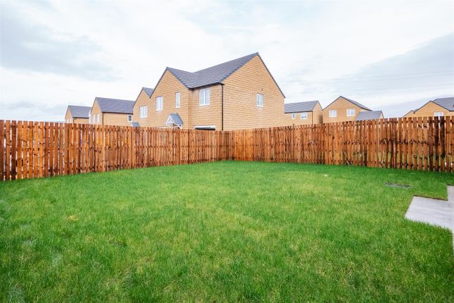 Detached house to rent in Model Walk, Creswell