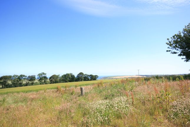 Land for sale in Site C, Mains Of Birkenbog, Cullen