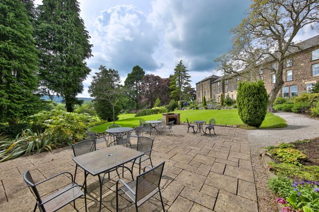 Communal Grounds2_1716207950283