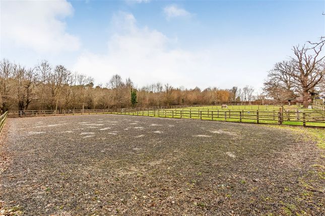 Equestrian property for sale in Hammerwood, East Grinstead