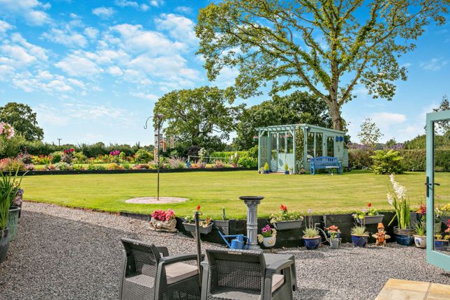 Lake Farm,, Willand Road, Tiverton photo 4