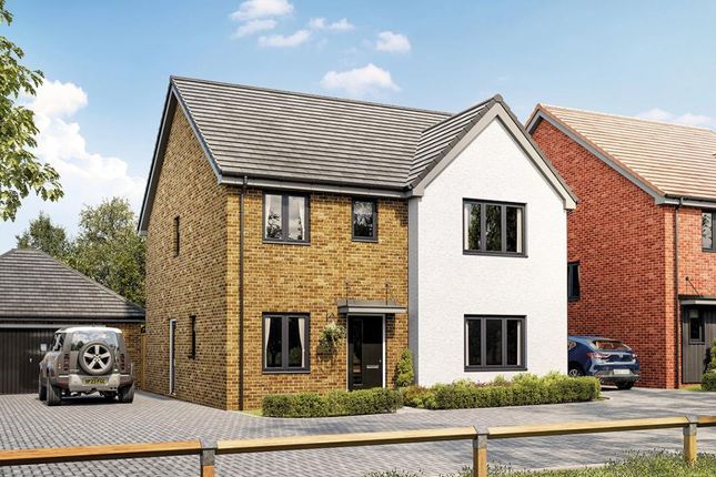 Thumbnail Detached house for sale in "The Selsdon" at Spriggs Street, Bishop's Stortford