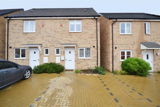 Thumbnail Detached house to rent in Fauna Way, Cardea, Peterborough