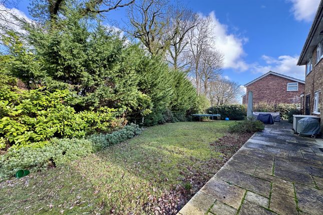 7, Yewens, Chiddingfold photo 3