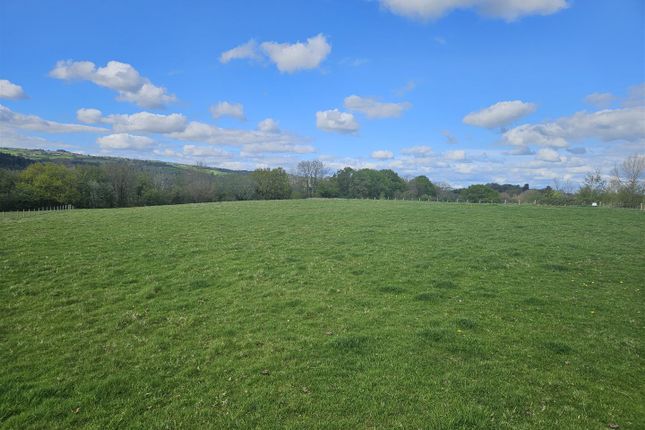 3.89 Acres, Gypsy Castle Lane, Hereford photo 5