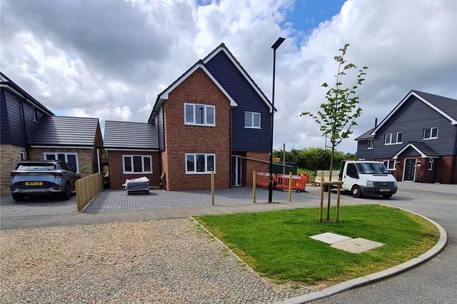 Detached house for sale in Ash Lane, Newport