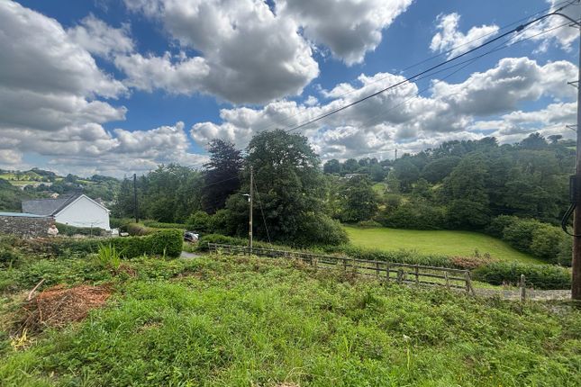Brynderw, Cwrtnewydd, Llanybydder photo 2
