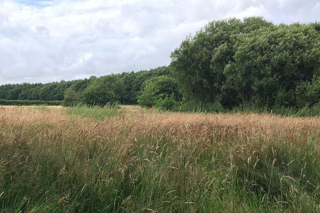 Thumbnail Land for sale in Great Priory Wood, Moorstock Lane, Sellindge