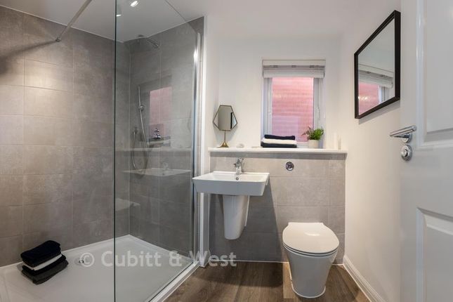 Plot 212, Chicory Crescent, Hailsham photo 2