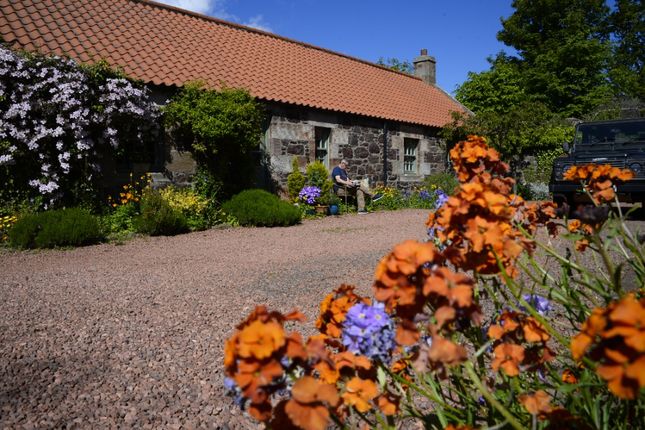 Thumbnail Cottage to rent in Markle, East Linton, East Lothian