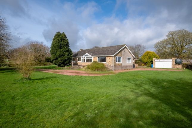 Thumbnail Detached bungalow for sale in Ingoe, Newcastle Upon Tyne