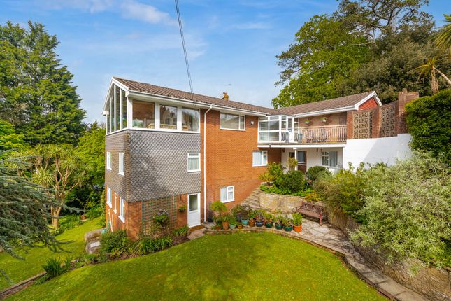 Thumbnail Detached house for sale in Barton Road, Torquay