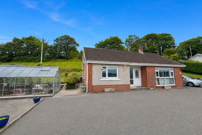 Mon Arfon, Sunny Hill, Llandysul photo 2