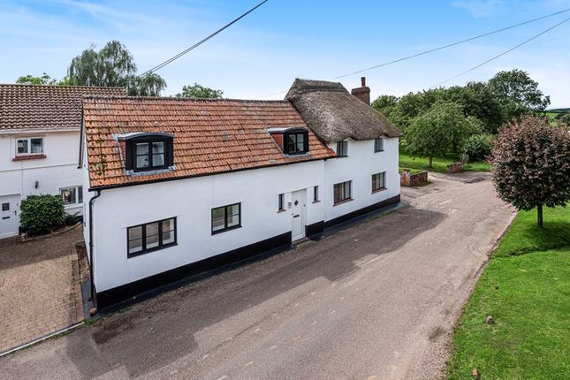 Cottage to rent in Rockbeare, Exeter, Devon