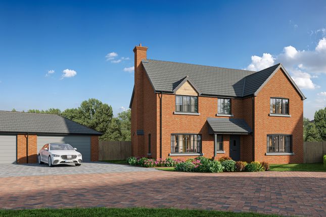 The Ampthill