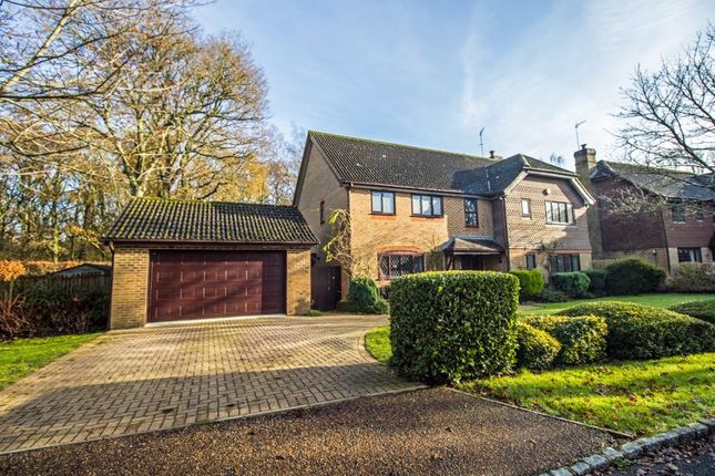 Thumbnail Detached house for sale in Beechwood, Small Dole, Henfield