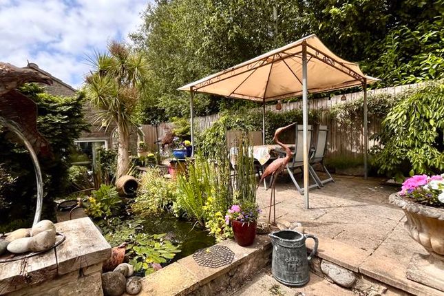 15, Dairs Orchard, Chard photo 3