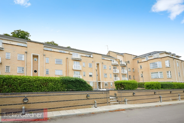 61, Cambridge photo 3