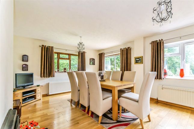 Paulalyn,, Hempstead Lane, East Sussex photo 4
