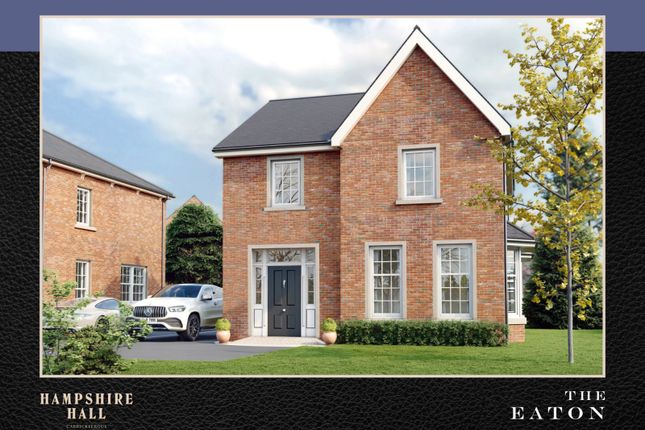 Thumbnail Semi-detached house for sale in Hampshire Hall, Carrickfergus, County Antrim