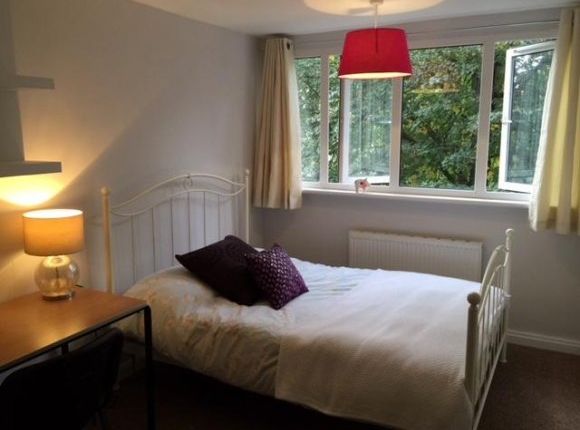 Thumbnail Shared accommodation to rent in Military Road, Canterbury, Kent