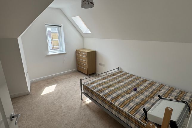 60, Canterbury photo 2
