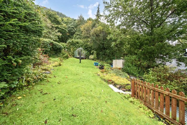 2, Bronygan, Machynlleth photo 2