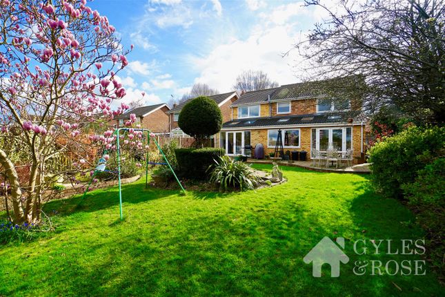 Thumbnail Detached house for sale in Sanders Drive, Colchester