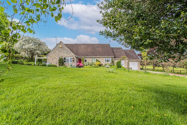 Thumbnail Detached bungalow for sale in Rodbourne, Malmesbury