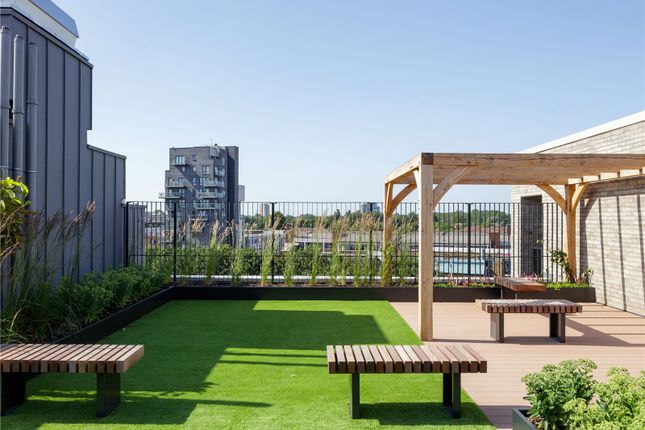 Roof Terrace