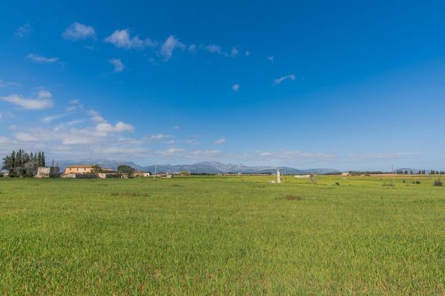 Country house for sale in Spain, Mallorca, Llubí