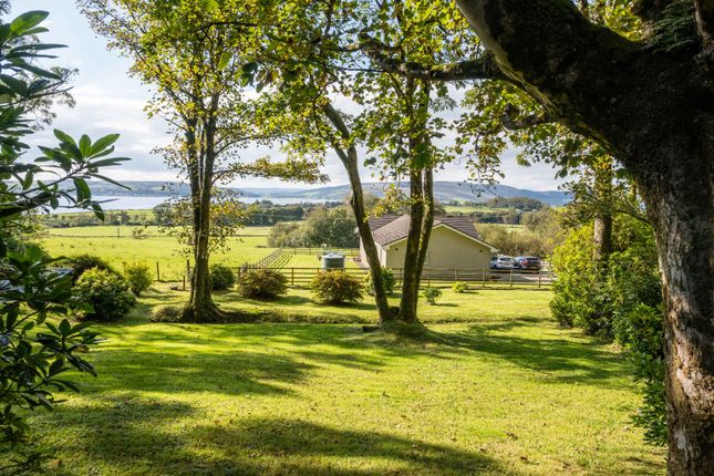 Dalmoak, Toward, Argyll and Bute photo 4