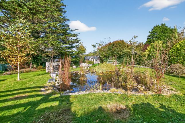 The Pines, Ting Tang, Redruth photo 3