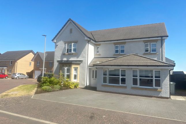 Thumbnail Detached house to rent in Daisy Drive, Cambuslang, Glasgow