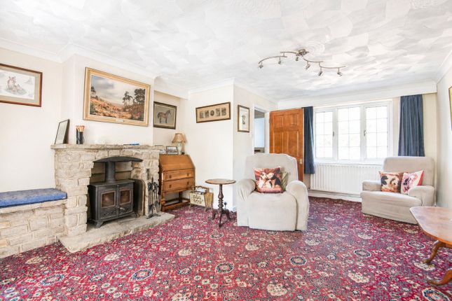 2 Chestnut Cottages, Petworth photo 4