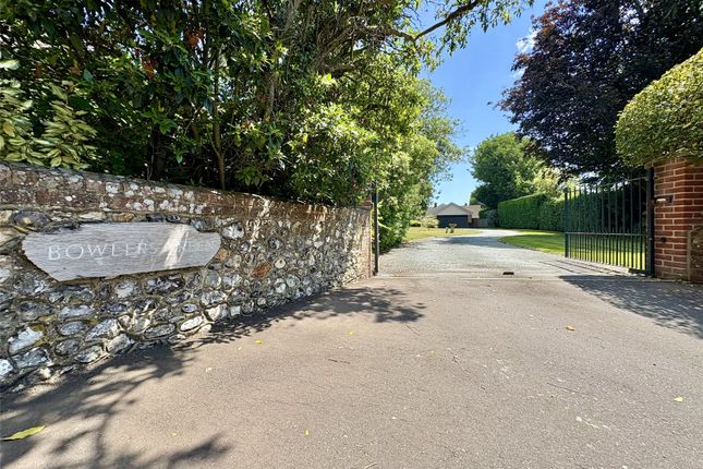 The Property