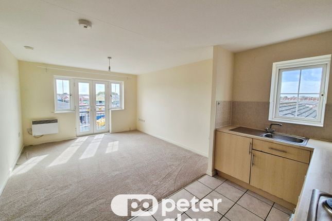 12, Newport photo 3