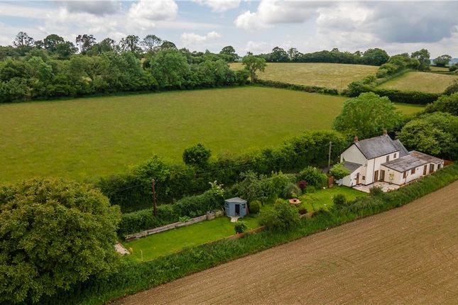 Thumbnail Detached house for sale in Laymore, Winsham, Chard, Somerset