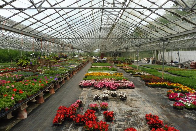 Cherry Lane, Browston, Great Yarmouth NR31, land for sale ...