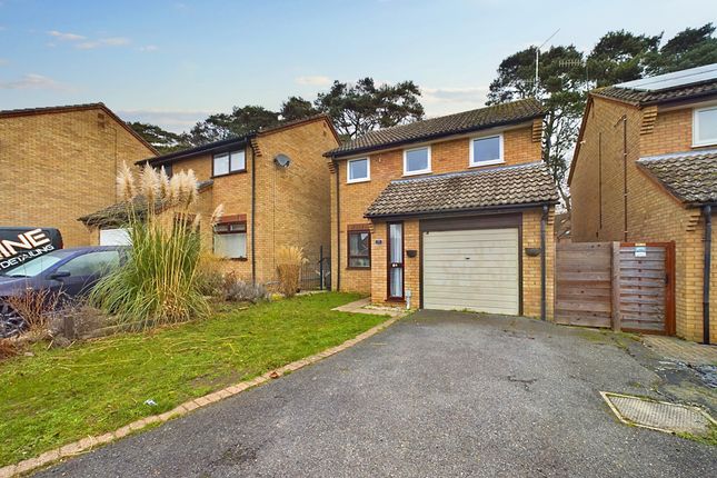 Thumbnail Detached house for sale in Campion Road, Thetford, Norfolk