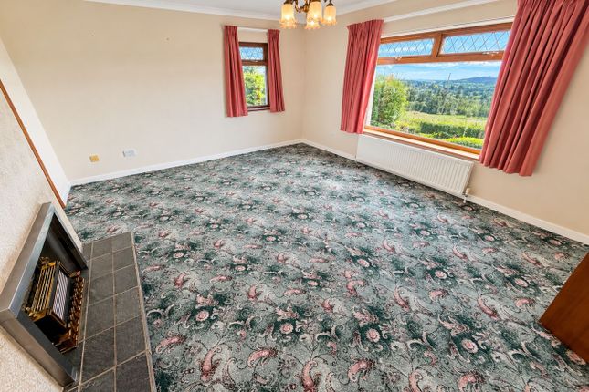Maestir Road, Lampeter photo 4