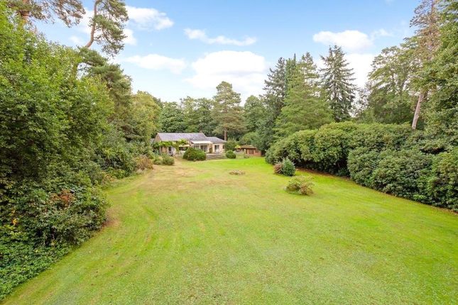 Land for sale in Wentworth Drive, Virginia Water, Surrey