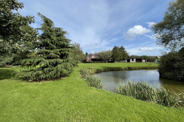 Thumbnail Detached house for sale in Wedgwood Lane, Gillow Heath, Stoke-On-Trent