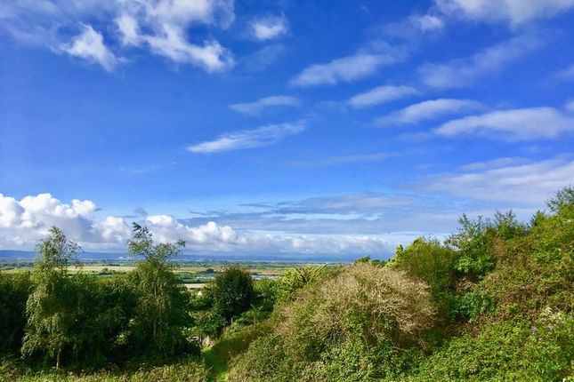 Clovercot, Celtic Way, Weston-Super-Mare photo 3