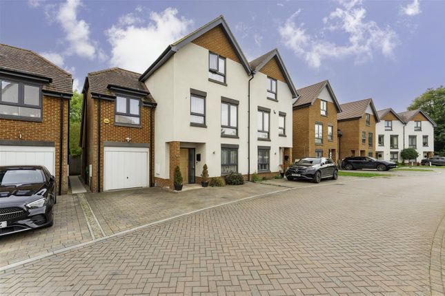 Dsc06531-Edit Copy.Jpg