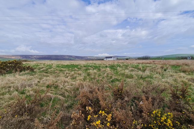 Land for sale in Norseman, Firth, Orkney