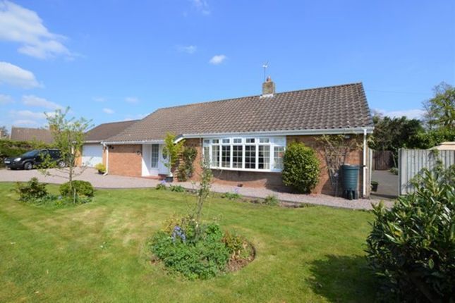 Thumbnail Detached bungalow for sale in Grove Gardens, Market Drayton