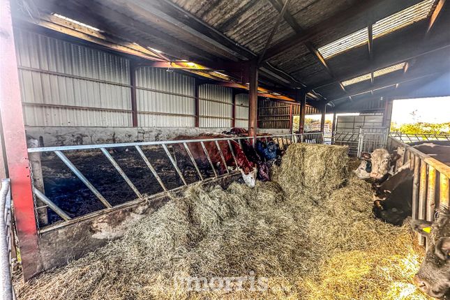 Farm for sale in Cwmbach, Whitland