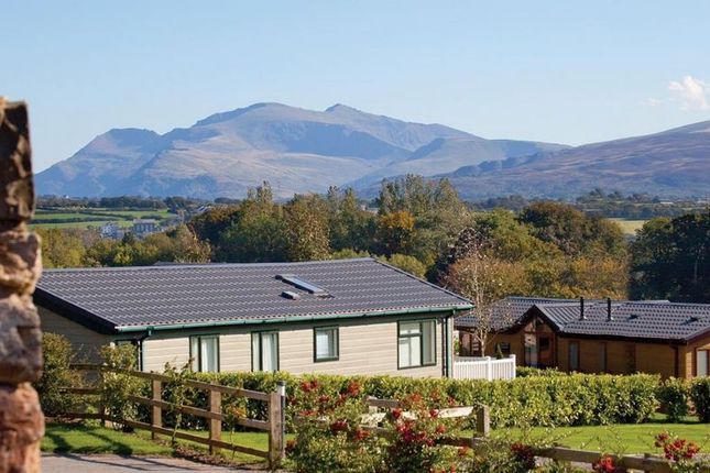Plas Coch Country and Leisure Retreat, Llanedwen, Anglesey photo 3
