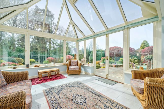 6, Forestdale, Surrey photo 2